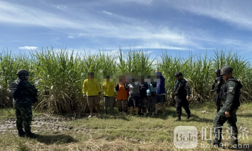 干了灰产还想跑！9人花6千偷渡逃命回泰被军方逮捕！
