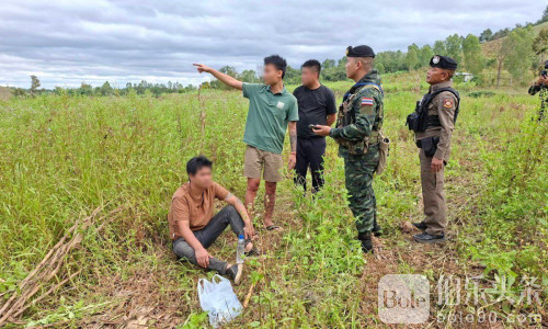 偷渡走“自然通道”？三名中国男子在泰国美索翻车被拘