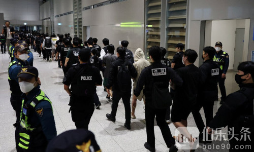 “杀猪盘”全球化：诈骗集团用母语精准收割受害者财富