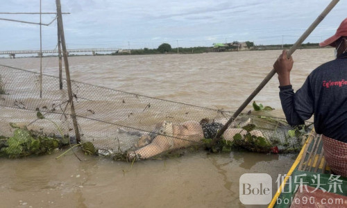 茶胶省水域惊现女浮尸！确认是中国籍女子