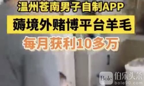 温州苍南男子自制赌博APP薅羊毛，月入十万被警方抓获！