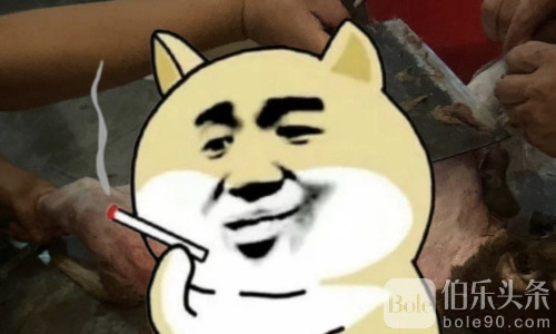 顺达园区的中国人在里面都饿疯了，流浪狗都被杀来充饥！