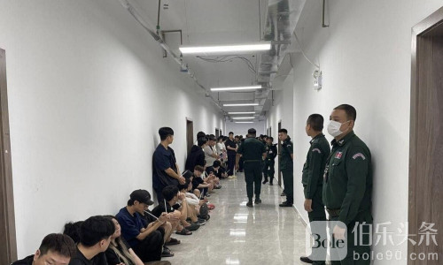 柬韩警方突袭西港电诈窝点，50名韩国狗推被一锅端！