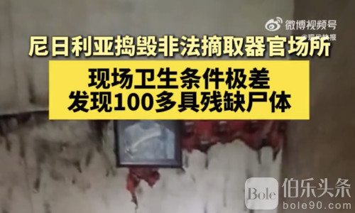 尼日利亚惊现百具残尸 狗推赴非淘金路成鬼门关！