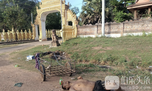 园区下狠手！柬埔寨街头男子遭棍击惨死，两名中国人逃离