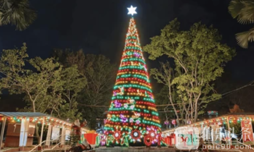网购送礼变“送命”？菲律宾圣诞诈骗案下降抓人翻倍！