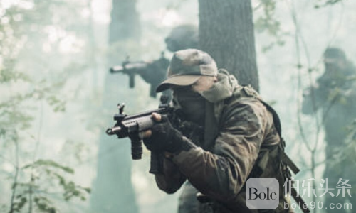 帕岸岛惊传雇佣兵出动？官方辟谣并加强外国人入境管控