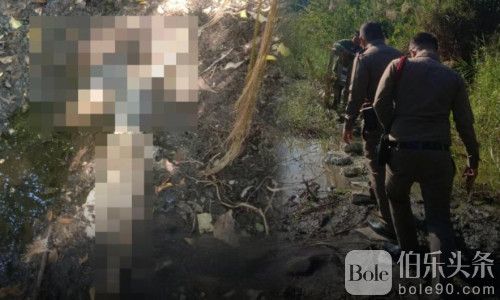 白天也敢弃尸？曼谷住宅区旁发现肢解男尸！