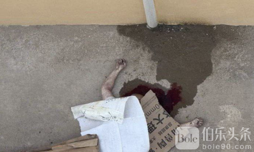 木牌园区惊现坠楼事故，警方紧急调查背后原因！