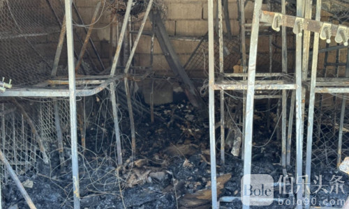 泰国边境大火！市场深夜起火20间商铺被毁