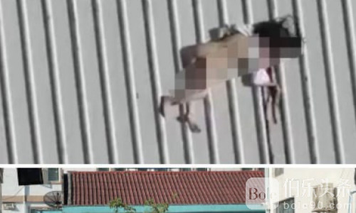 西港一天两起坠楼事故：女子当场身亡，中国男子受伤送医