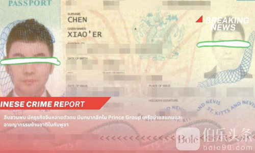 跨境诈骗老手？胡晓伟四重身份操控太子集团！