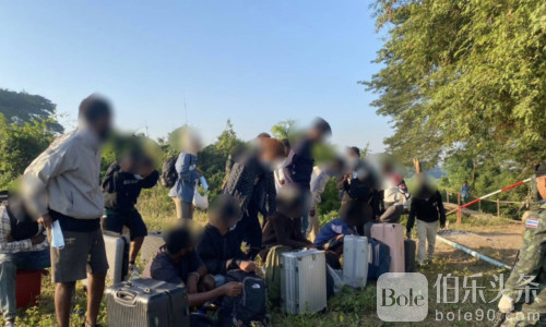 年初即收网！泰军边境巡逻抓获18名外国偷渡者