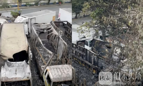 帕西格市一货车停放场突发火灾 4辆配送卡车被烧毁