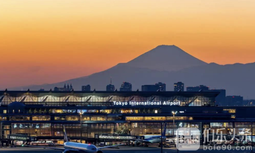 柬埔寨金边电诈风暴：陈志被抓引发连锁逃亡！