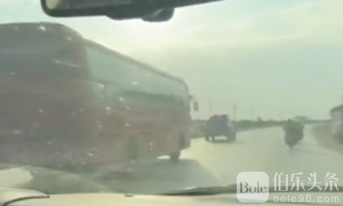 金边惊现大巴围捕！中国员工全被警方带走