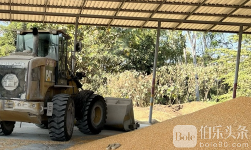 悲剧瞬间：泰国女子救同事遭碾压身亡，生死只在一秒！