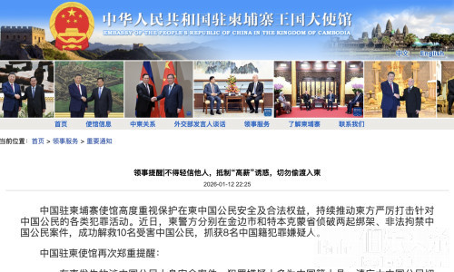 中使馆重磅提醒：在柬涉中国公民安全案件，嫌犯多为中国人