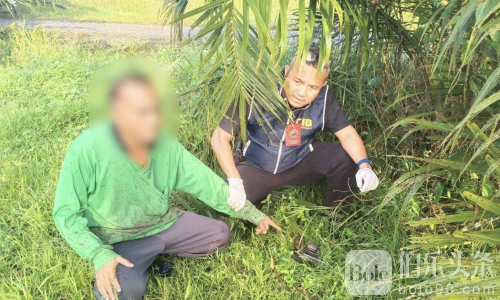 非法持枪+地方权力争斗！泰国男子棕榈园落网