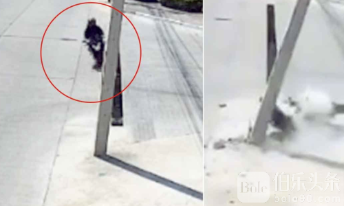 曼谷东部惊魂一刻！大排量摩托失控撞灯柱骑士当场身亡