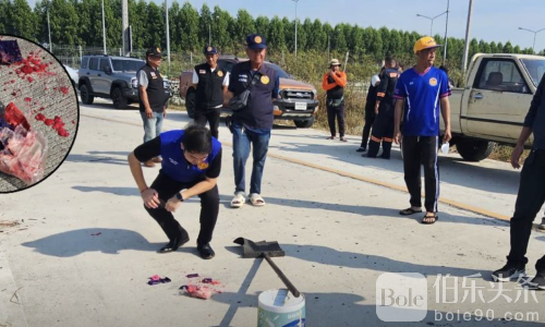 小狗叼毒品乱跑！泰国警方查获近两万颗冰毒