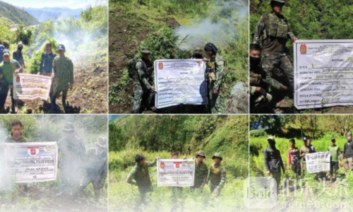 菲律宾警方深山剿毒！焚毁九百多万比索大麻园