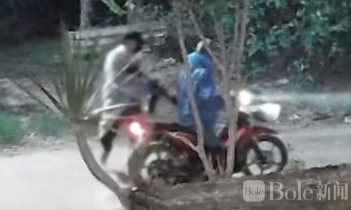 泰国惊魂夜！枪手狂轰民宅20多枪，子弹穿过女儿卧室