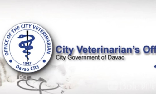 达沃市查获2.76万公斤非法屠宰肉，市民健康堪忧