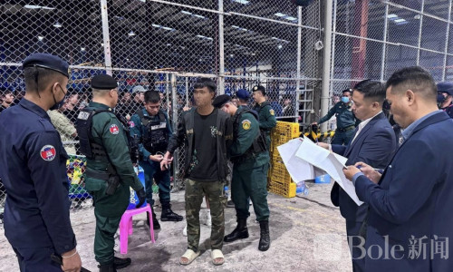 柬埔寨启动新一轮清查行动，629名外籍人员被遣返出境