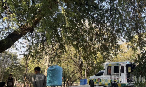 为解馋爬树摘酸角，泰国一名僧人失足坠亡！