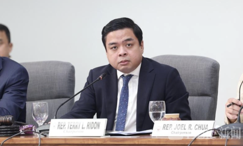 前副总统萨拉助理被点名！国会要求揭开“化名”内幕