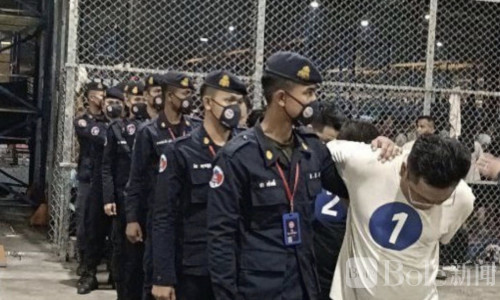 第三晚再出手！柬埔寨昨夜遣返319名涉诈中国公民