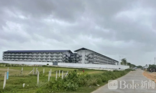 67名警官实名举报局长！月收电诈园区5000美元保护费