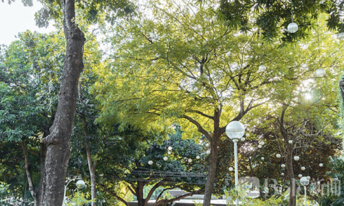 国调局突袭马卡蒂顶级豪宅区 直指赌王洪阿东踪迹