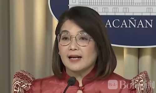 副总统支持率飙到+28！总统却翻负数？马拉坎南宫当场质疑