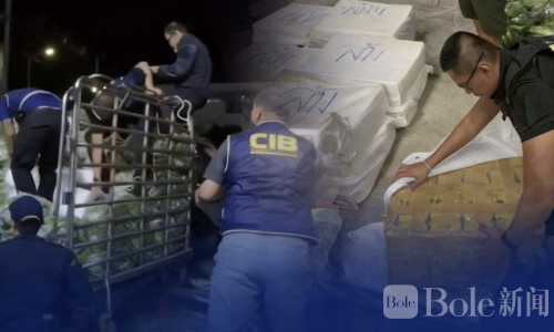 泰国警方截获大批“冰毒”，藏在黄瓜堆中高达千万颗！