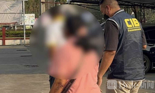 59岁妇涉农资假证诈骗80万泰铢被捕，辩称“不知情”