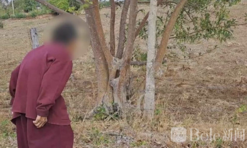 泰国83岁老妇农田遭猥，警方紧急追踪嫌犯