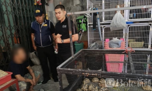 曼谷民宅暗藏“动物仓库”？70余只濒危物种被查扣！