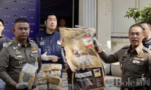 泰国破获巨额毒案！448公斤毒品伪装猫狗粮遭拦截