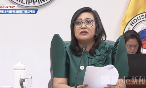 弹劾程序正式点火！菲律宾副总统进入审查期