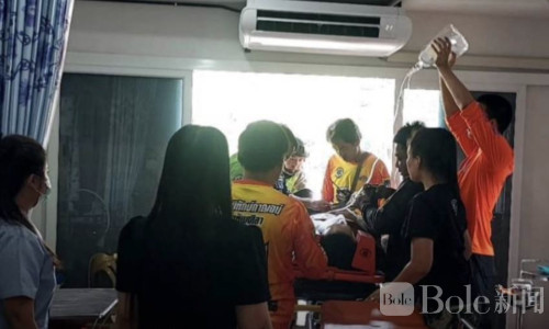 泰护林站长巡查遭前同事枪击，嫌犯当场落网！