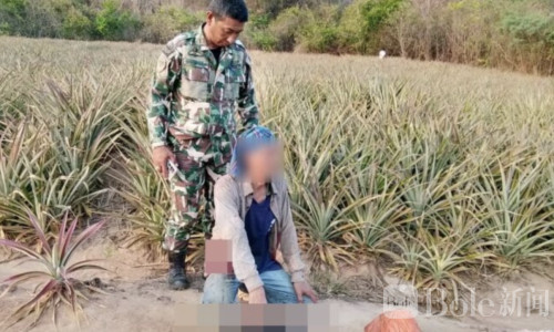 泰国华南羚羊惨遭切块盗猎，贵布里警方火速抓获团伙