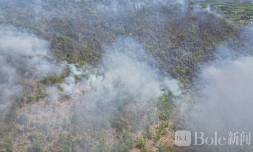 泰国著名景点突发森林火灾！大火蔓延3000莱