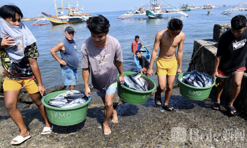 菲律宾油价暴涨！小渔民每日亏损约500比索
