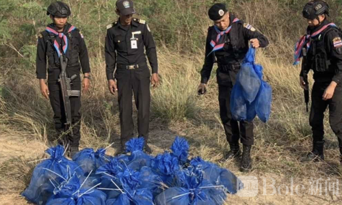 泰柬边境惊现“猴子走私案” 51只猕猴被塞袋藏甘蔗地