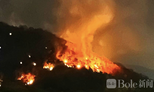 泰国帕亚延山火势三日三夜扑灭！森林受损1400莱