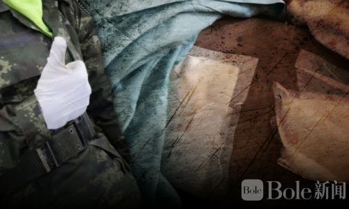 泰国9名教官和学长残忍殴打新兵！1死2伤