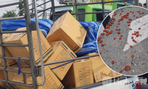 运毒伪装升级！番茄掩护300万毒丸被泰国警方截获