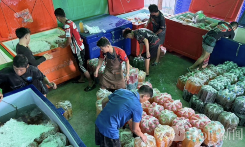 假装回收厂暗藏毒饮料！泰国警方突袭卡痛水工厂